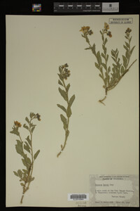 Image Associated With the Occurrence