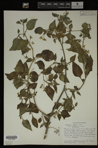 Image Associated With the Occurrence