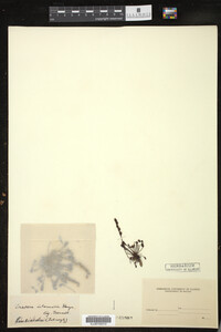 Image Associated With the Occurrence