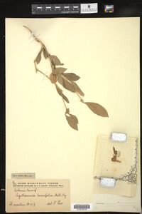 Image Associated With the Occurrence
