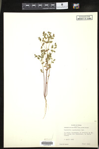 Image Associated With the Occurrence