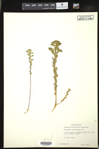 Image Associated With the Occurrence