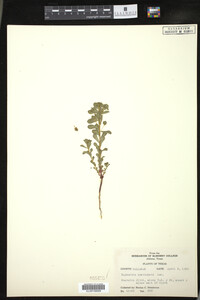 Image Associated With the Occurrence
