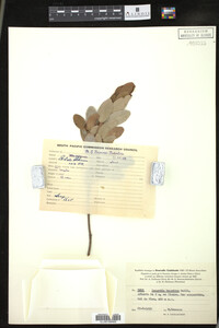 Image Associated With the Occurrence