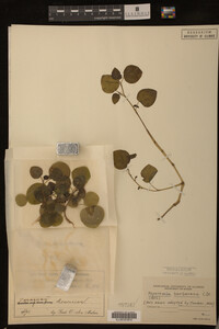Image Associated With the Occurrence
