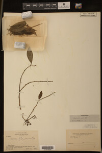 Image Associated With the Occurrence