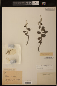 Image Associated With the Occurrence