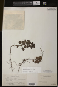 Image Associated With the Occurrence