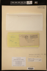 Image Associated With the Occurrence
