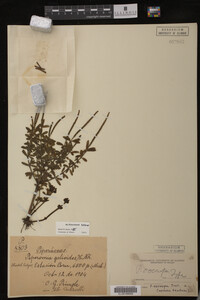 Image Associated With the Occurrence