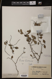 Image Associated With the Occurrence
