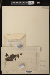 Image Associated With the Occurrence