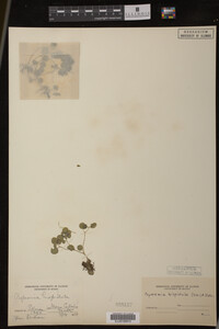 Image Associated With the Occurrence