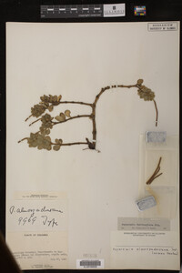 Image Associated With the Occurrence
