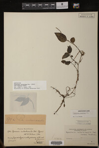 Image Associated With the Occurrence