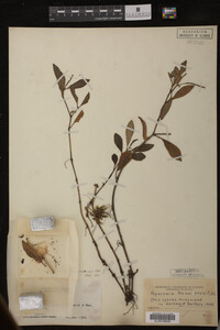 Image Associated With the Occurrence