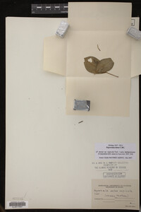 Image Associated With the Occurrence