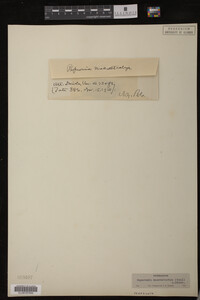 Image Associated With the Occurrence