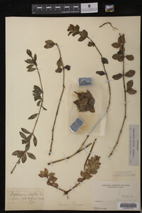 Image Associated With the Occurrence