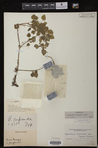 Image Associated With the Occurrence
