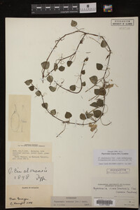 Image Associated With the Occurrence