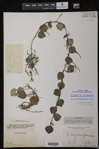 Image Associated With the Occurrence