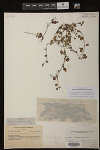 Image Associated With the Occurrence