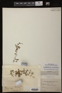 Image Associated With the Occurrence