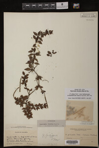 Image Associated With the Occurrence