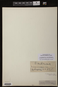 Image Associated With the Occurrence