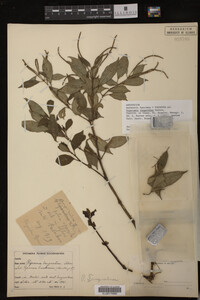 Image Associated With the Occurrence