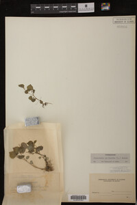 Image Associated With the Occurrence