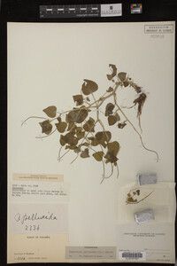 Image Associated With the Occurrence