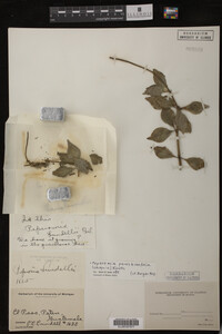 Image Associated With the Occurrence
