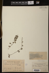 Image Associated With the Occurrence