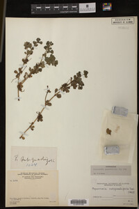 Image Associated With the Occurrence
