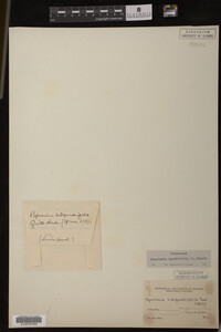 Image Associated With the Occurrence