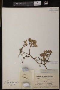 Image Associated With the Occurrence