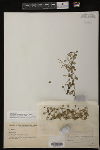Image Associated With the Occurrence