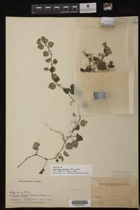 Image Associated With the Occurrence