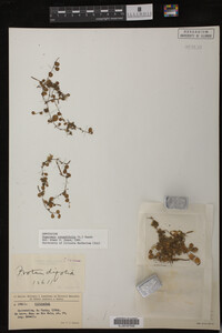 Image Associated With the Occurrence