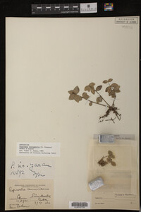 Image Associated With the Occurrence