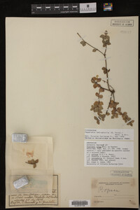 Image Associated With the Occurrence
