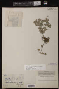 Image Associated With the Occurrence