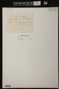 Image Associated With the Occurrence
