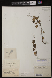 Image Associated With the Occurrence