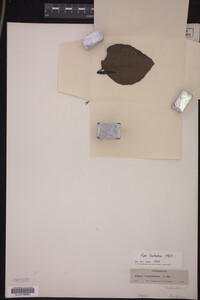 Image Associated With the Occurrence