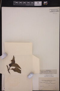 Image Associated With the Occurrence