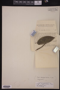Image Associated With the Occurrence