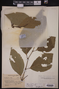 Image Associated With the Occurrence